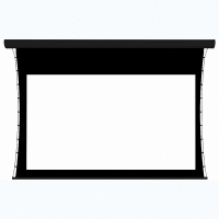 Экран настенный с электроприводом DSTPX-16916 - fgospostavki.ru - Иркутск