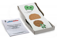 Модель-аппликация "Размножение одноклеточной водоросли" (набор из 11 карт) - fgospostavki.ru - Иркутск