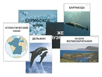 Модель-аппликация "Океаны. Знакомство" (ламинированная) - fgospostavki.ru - Иркутск
