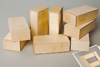 Игровой набор Фребеля "Кирпичики большие" (серия "Эксперимент") - fgospostavki.ru - Иркутск