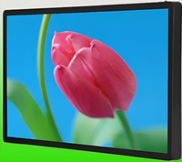 Киоск информационный настенный сенсорный 27" (вариант 2) - fgospostavki.ru - Иркутск