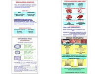 Плакаты ПРОФТЕХ "Классификации и виды мяса" (4 пл, винил, 70х100) - fgospostavki.ru - Иркутск
