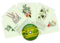 Интерактивный наглядный комплекс "Гербарий "Для начальной школы" - fgospostavki.ru - Иркутск