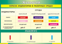 Таблица "Окраска индикаторов в различных средах" (100х140 сантиметров, винил) - fgospostavki.ru - Иркутск
