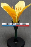 Модель "Цветок капусты" - fgospostavki.ru - Иркутск