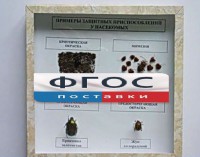 Коллекция энтомологическая "Примеры защитных приспособлений у насекомых" - fgospostavki.ru - Иркутск