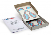 Модель-аппликация "Развитие легких позвоночных животных" (набор из 5 карт) - fgospostavki.ru - Иркутск