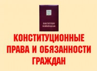 Комплект плакатов "Конституционные права и обязанности граждан" - fgospostavki.ru - Иркутск