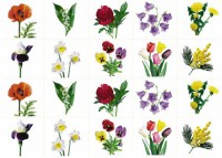 Комплект карточек "Запоминай, играй, считай" - Цветы - fgospostavki.ru - Иркутск