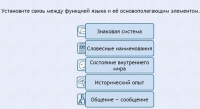 Интерактивные курсы. Русский язык 7 класс . Базовый. - fgospostavki.ru - Иркутск
