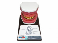 Демонстрационная модель "Ротовая полость курильщика" - fgospostavki.ru - Иркутск