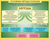 Стенд "Методы селекции и биотехнологии" - fgospostavki.ru - Иркутск