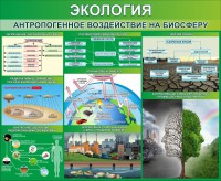Стенд "Экология. Антропогенное воздействие на биосферу" - fgospostavki.ru - Иркутск