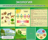 Стенд "Экология. Организация и функционирование сообществ" - fgospostavki.ru - Иркутск