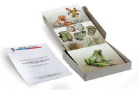 Модель-аппликация "Взаимодействия в природных сообществах" (набор из 23 карт) - fgospostavki.ru - Иркутск