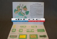 Коллекция "Шелк для начальной школы" - fgospostavki.ru - Иркутск