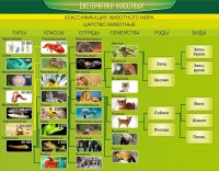 Стенд "Систематика животных" - fgospostavki.ru - Иркутск
