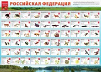Стенд "Красная книга РФ" - fgospostavki.ru - Иркутск