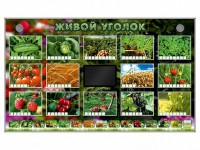 Комплект оборудования "Живой уголок" (растения) - fgospostavki.ru - Иркутск