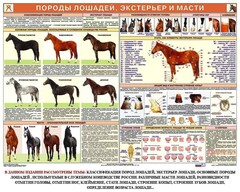Комплект плакатов "Служебное коневодство" - fgospostavki.ru - Иркутск