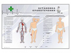 Электрифицированный стенд "Остановка кровотечения" - fgospostavki.ru - Иркутск