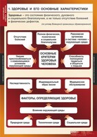 Комплект таблиц. ОБЖ. Здоровый образ жизни. - fgospostavki.ru - Иркутск