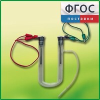 Прибор для электролиза растворов солей демонстрационный - fgospostavki.ru - Иркутск