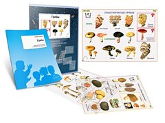 Комплект кодотранспарантов "Грибы" - fgospostavki.ru - Иркутск