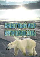 DVD "Животный мир Арктической зоны" - fgospostavki.ru - Иркутск