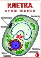 DVD "Клетка - "атом жизни" - fgospostavki.ru - Иркутск