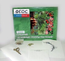Гербарий "Основные группы растений" (52 листа) - fgospostavki.ru - Иркутск