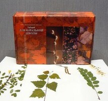 Гербарий для Начальной школы (28 видов) - fgospostavki.ru - Иркутск