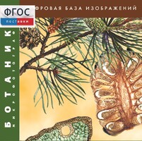 Ботаника. Микрофотографии. (Цифровая база изображений) - fgospostavki.ru - Иркутск