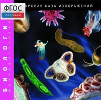 Биология. Микрофотографии. (Цифровая база изображений) - fgospostavki.ru - Иркутск
