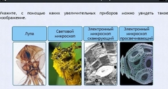 Интерактивные курсы. Биология 5 класс. Расширенный - fgospostavki.ru - Иркутск