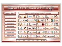 Трехсекционный базовый комплект "Травмы. Кровотечения. Ожоги" для учащихся общеобразовательных учреждений - fgospostavki.ru - Иркутск