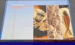 Коллекция "Палеонтологическая" (16 образцов) - fgospostavki.ru - Иркутск
