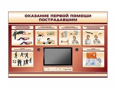 Многофункциональный интерактивный стенд-тренажер "Оказание первой помощи пострадавшим" для учащихся общеобразовательных учреждений - fgospostavki.ru - Иркутск