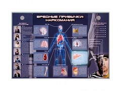 Электрифицированный стенд "Вредные привычки: наркомания" - fgospostavki.ru - Иркутск