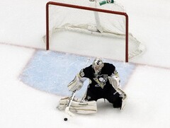 Гашение (отбойники) для хоккейных ворот - fgospostavki.ru - Иркутск