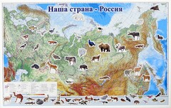 Магнитные карточки "Животные" - fgospostavki.ru - Иркутск