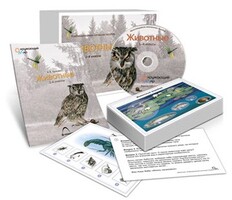 Комбинированное наглядное пособие «Животные» - fgospostavki.ru - Иркутск