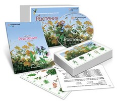 Комбинированное наглядное пособие «Растения» - fgospostavki.ru - Иркутск