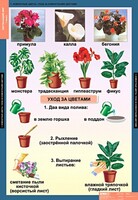 Комплект таблиц. Окружающий мир 1 класс. - fgospostavki.ru - Иркутск