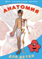 DVD "Анатомия для детей" - fgospostavki.ru - Иркутск
