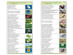 Комплект карточек (10) "Обучающий калейдоскоп. Природа" - fgospostavki.ru - Иркутск