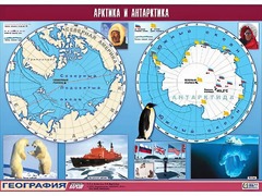 Таблица демонстрационная "Арктика и Антарктика" (винил 100*140) - fgospostavki.ru - Иркутск