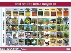 Таблица демонстрационная "Почвы, растения и животные природных зон" (винил 70*100) - fgospostavki.ru - Иркутск