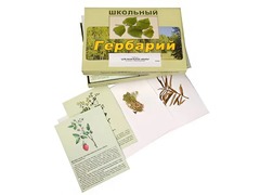Гербарий "Для начальной школы" (30 видов, с иллюстрациями) - fgospostavki.ru - Иркутск