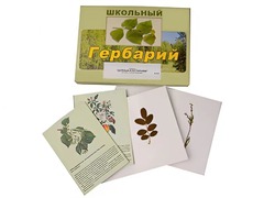 Гербарий "Деревья и кустарники" (22 вида, с иллюстрациями) - fgospostavki.ru - Иркутск